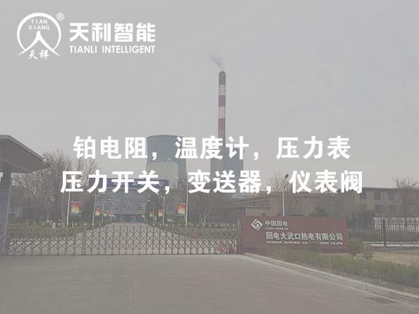 國電大武口熱電有限公司2*350MW熱電聯(lián)產(chǎn)機(jī)組擴(kuò)建